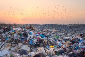 The Sustainable Finance Podcast