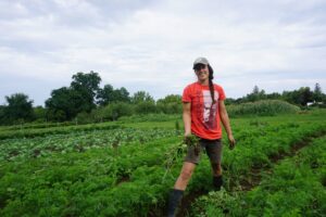 Regenerative agriculture: Investing in food production in a more sustainable way